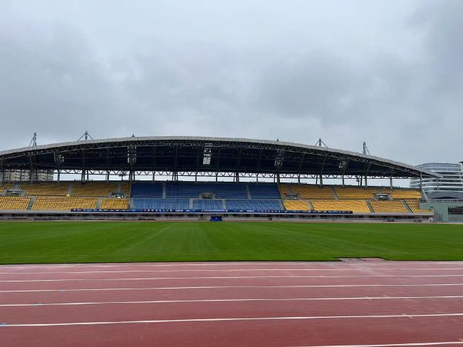 米塔小熊在哪